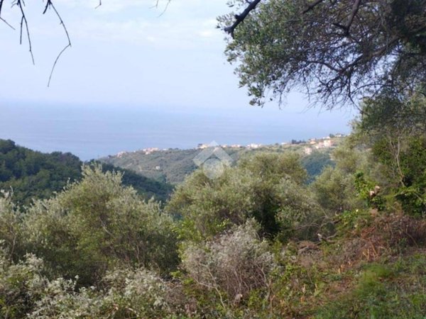 terreno agricolo in vendita a Lavagna