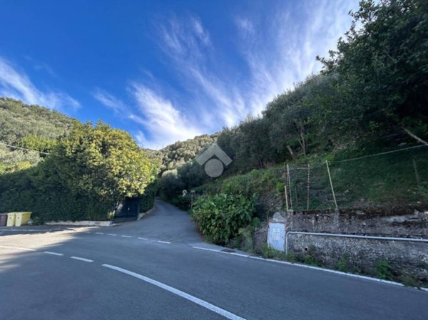 terreno agricolo in vendita a Lavagna