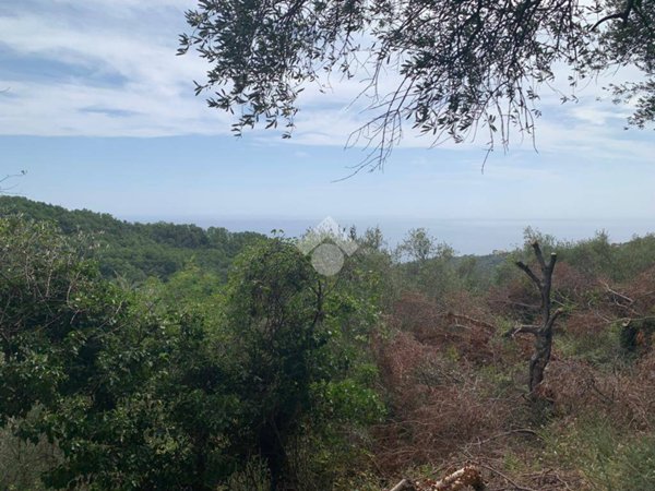 locale di sgombero in vendita a Lavagna