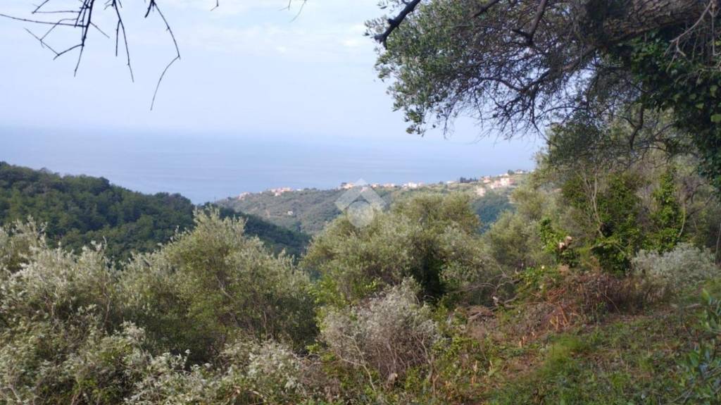 locale di sgombero in vendita a Lavagna