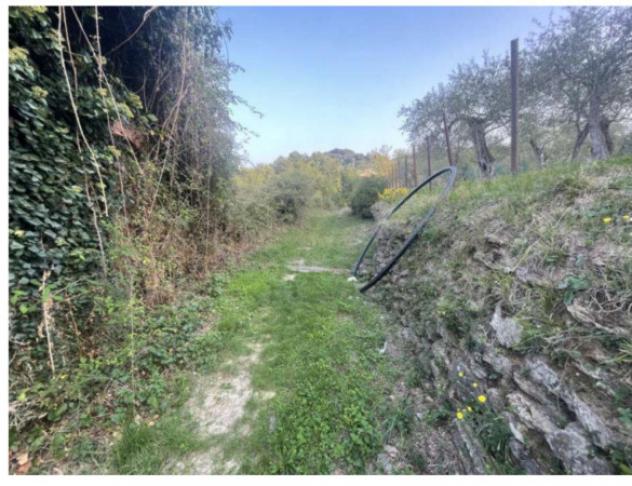 terreno agricolo in vendita a Lavagna