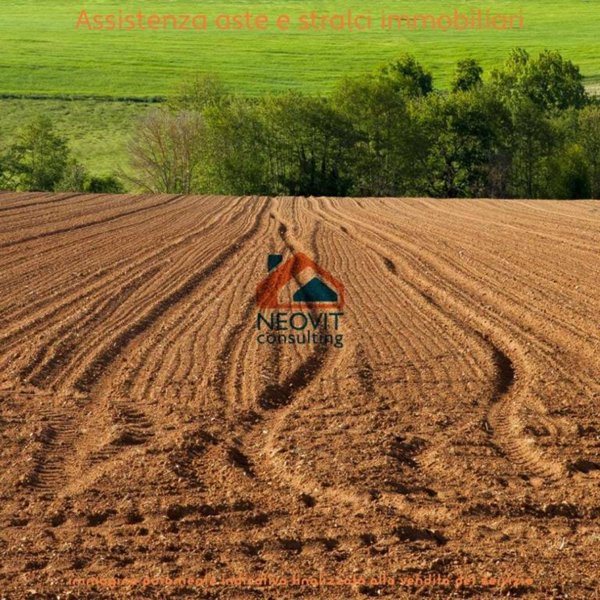 appartamento in vendita a Lavagna