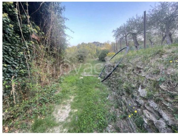 terreno agricolo in vendita a Lavagna