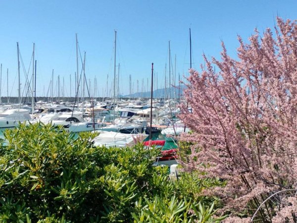 appartamento in vendita a Lavagna