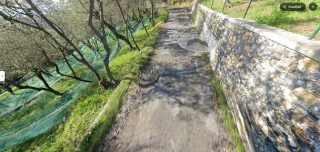 terreno agricolo in vendita a Lavagna