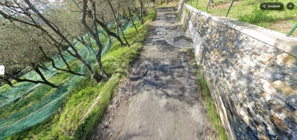 terreno agricolo in vendita a Lavagna