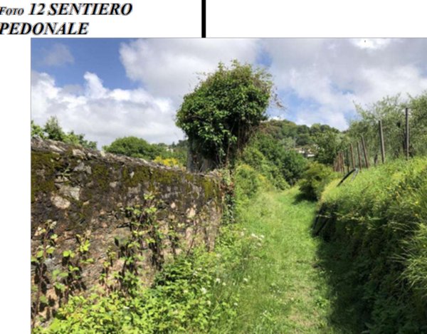 appartamento in vendita a Lavagna