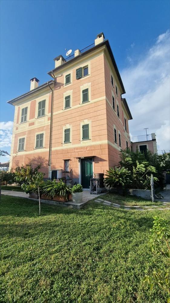 immagine annuncio 0 di 13