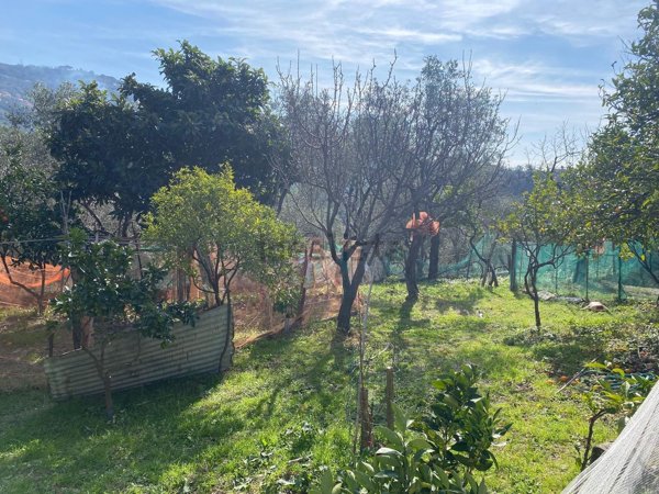 pentavano in vendita a Lavagna