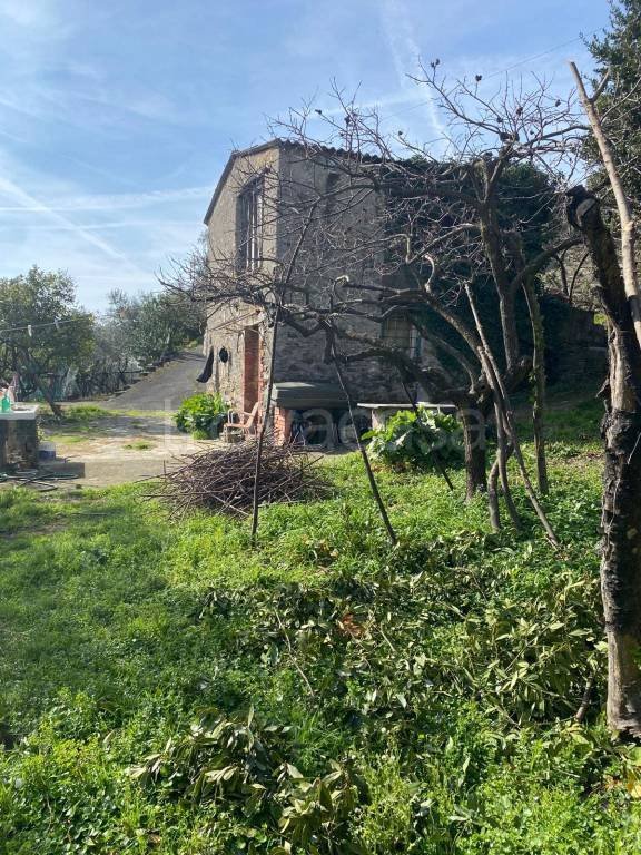 pentavano in vendita a Lavagna