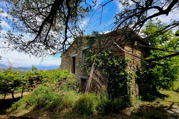 quadrivano in vendita a Lavagna