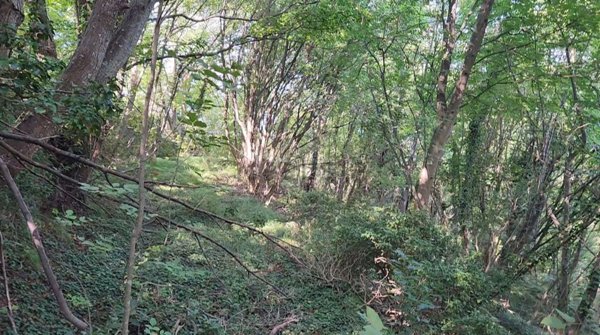 casa indipendente in vendita a Lavagna