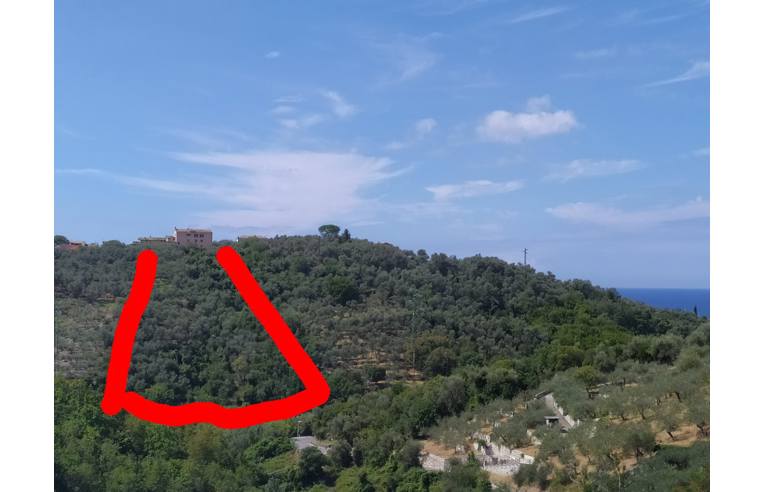 terreno agricolo in vendita a Lavagna