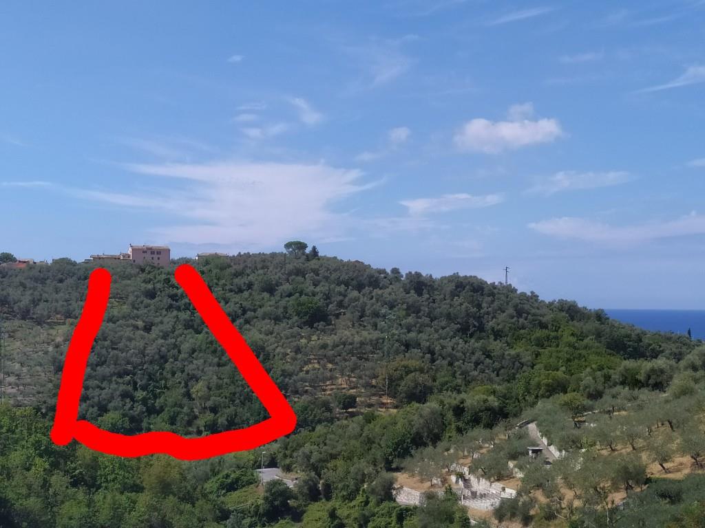 terreno agricolo in vendita a Lavagna