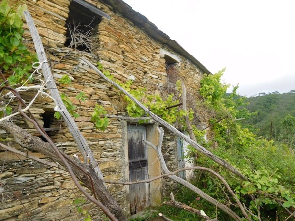 esavano in vendita a Lavagna