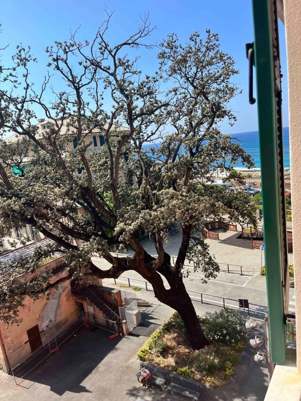 appartamento in vendita a Lavagna