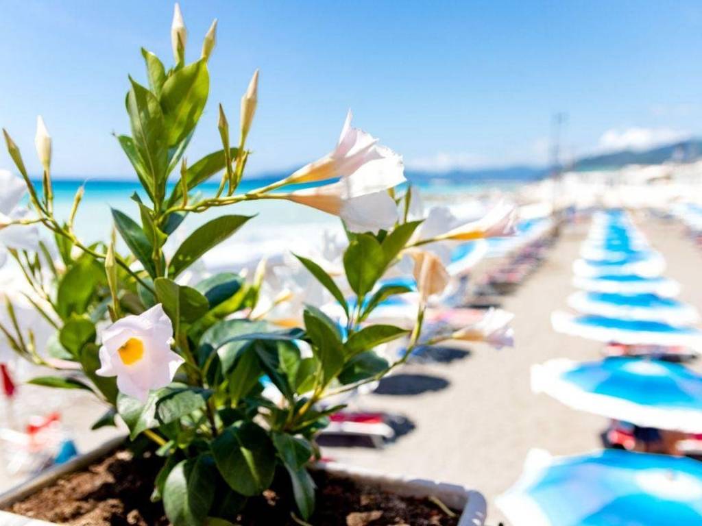 appartamento in vendita a Lavagna