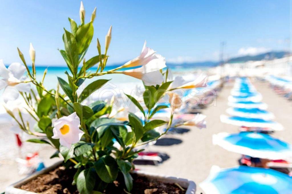 appartamento in vendita a Lavagna