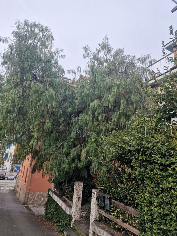 appartamento in vendita a Lavagna