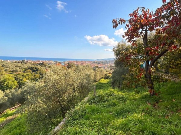 terreno agricolo in vendita a Lavagna