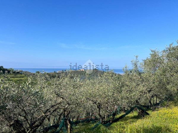 terreno agricolo in vendita a Lavagna