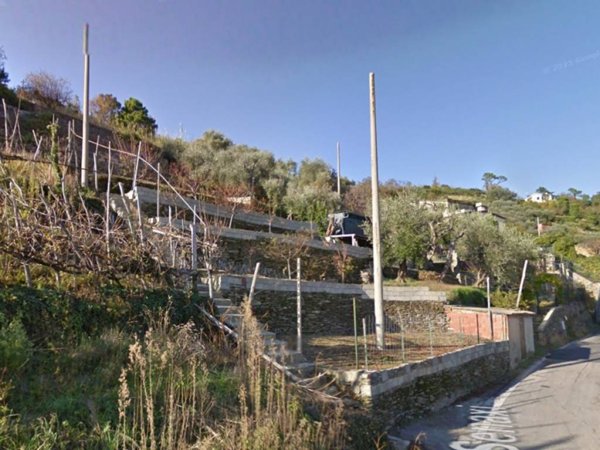 terreno agricolo in vendita a Lavagna