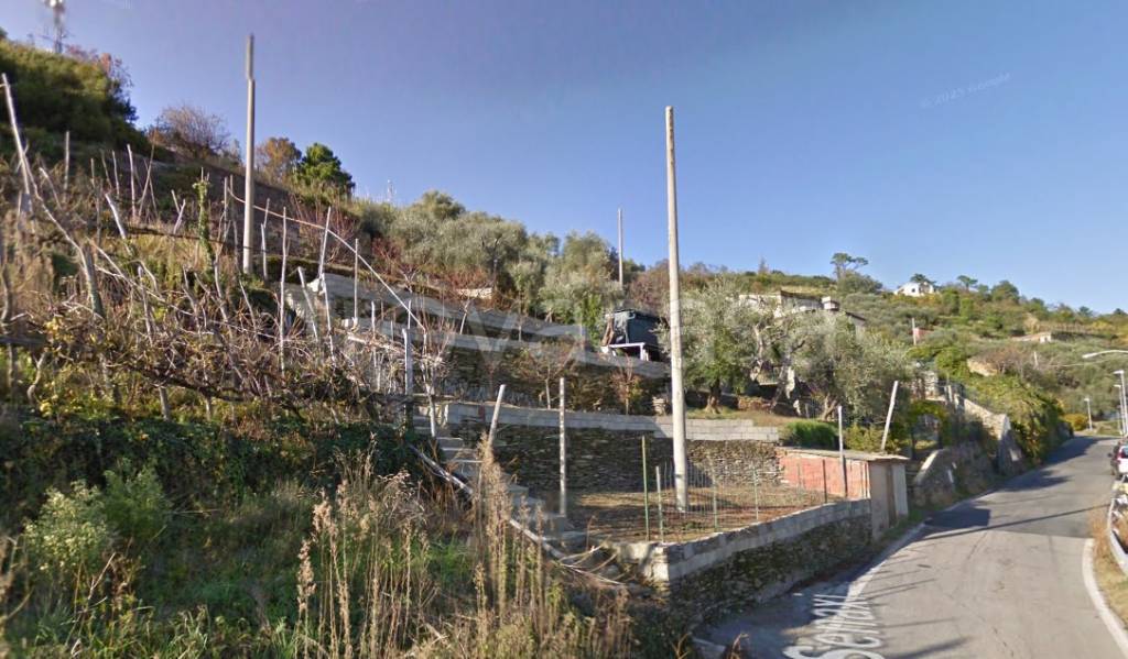 terreno agricolo in vendita a Lavagna