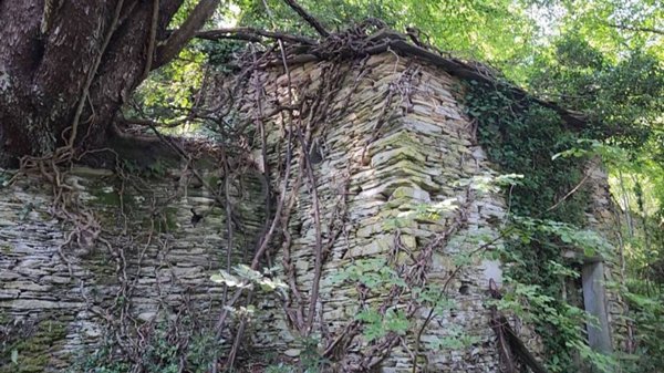 rudere in vendita a Lavagna