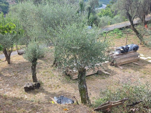 terreno agricolo in vendita a Lavagna