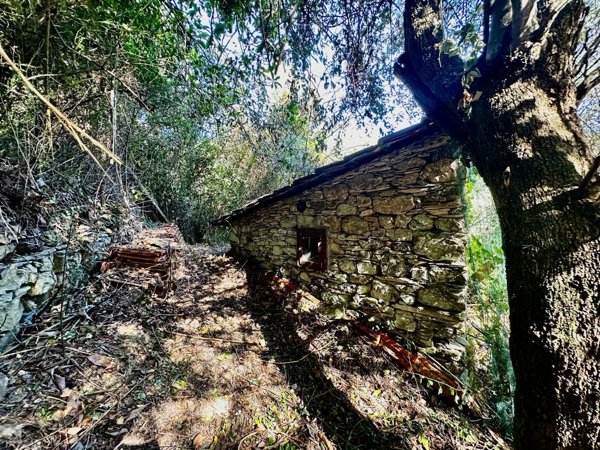 appartamento in vendita a Lavagna