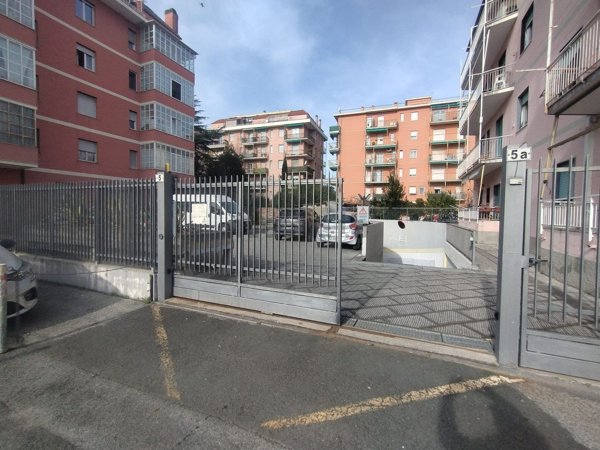 box auto in vendita a Lavagna