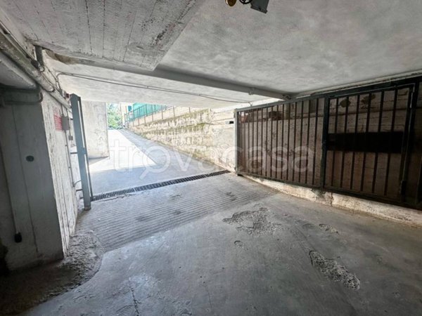 box auto in vendita a Lavagna