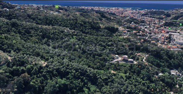 terreno agricolo in vendita a Leivi