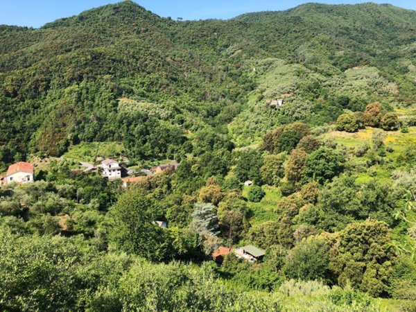 terreno agricolo in vendita a Leivi