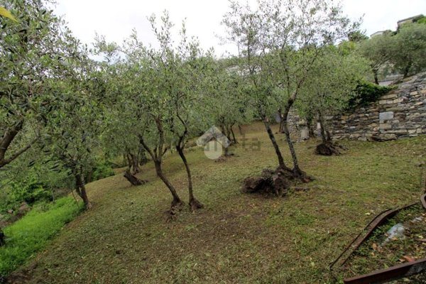 quadrivano in vendita a Leivi