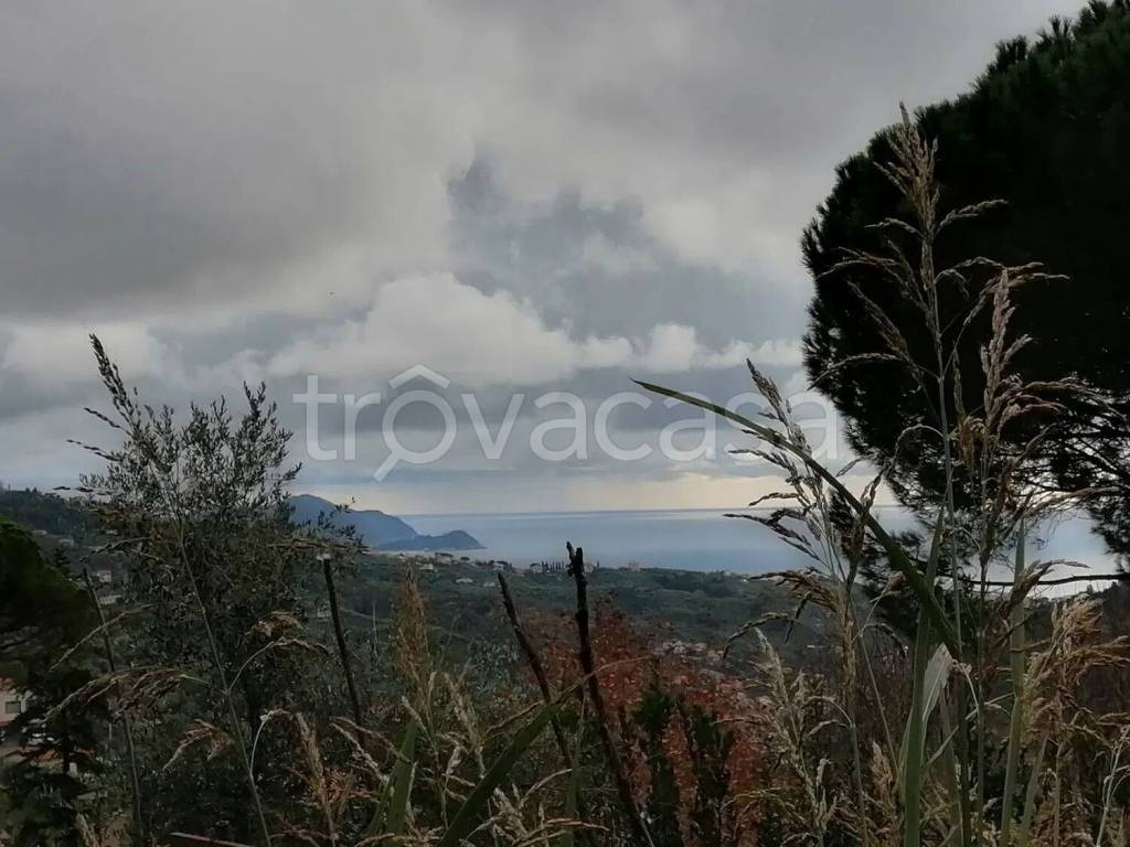 casa indipendente in vendita a Leivi