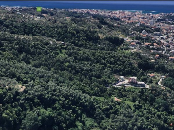 terreno agricolo in vendita a Leivi