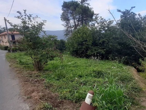 terreno agricolo in vendita a Leivi