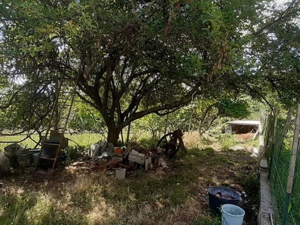 casa indipendente in vendita a Leivi in zona Bocco