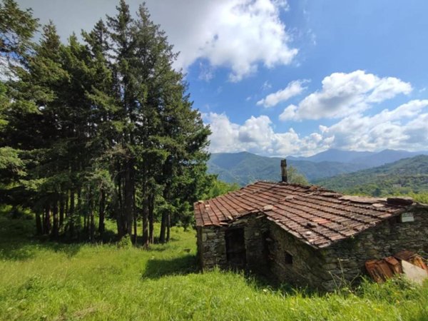 casa indipendente in vendita a Leivi