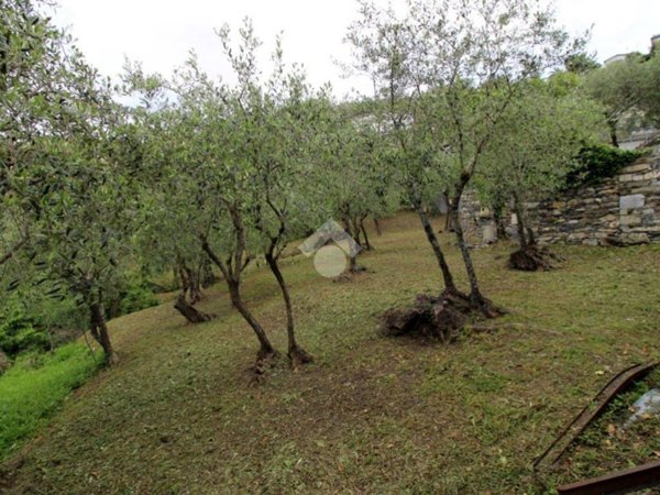 casa indipendente in vendita a Leivi