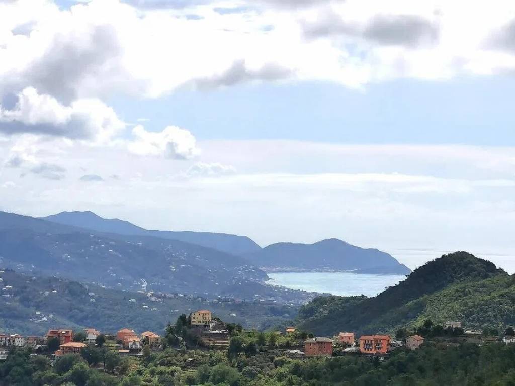 appartamento in vendita a Leivi