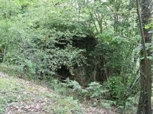 appartamento in vendita a Leivi