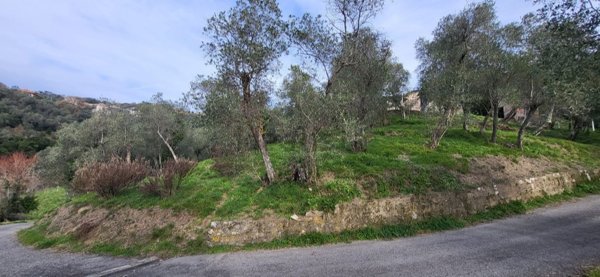 terreno edificabile in vendita a Leivi
