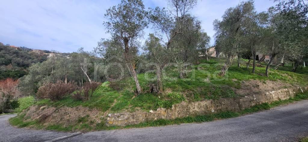 terreno edificabile in vendita a Leivi