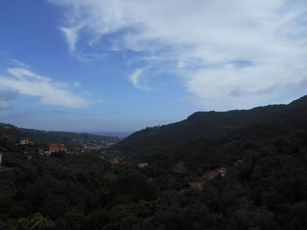 appartamento in vendita a Leivi