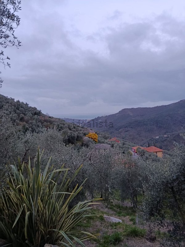 pentavano in vendita a Leivi