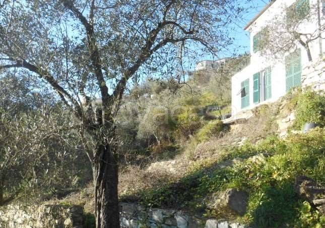 casa indipendente in vendita a Leivi