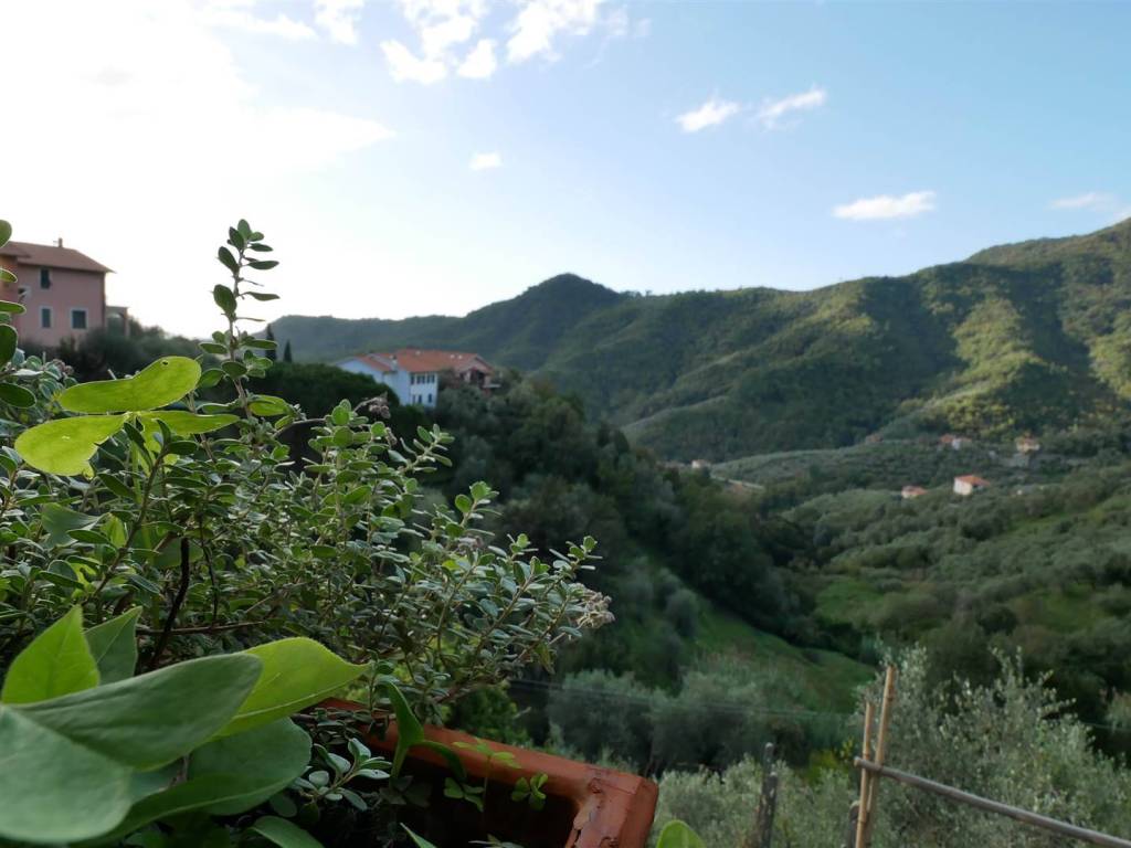casa indipendente in vendita a Leivi