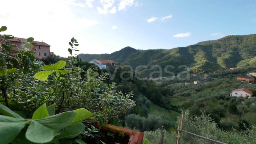 casa indipendente in vendita a Leivi